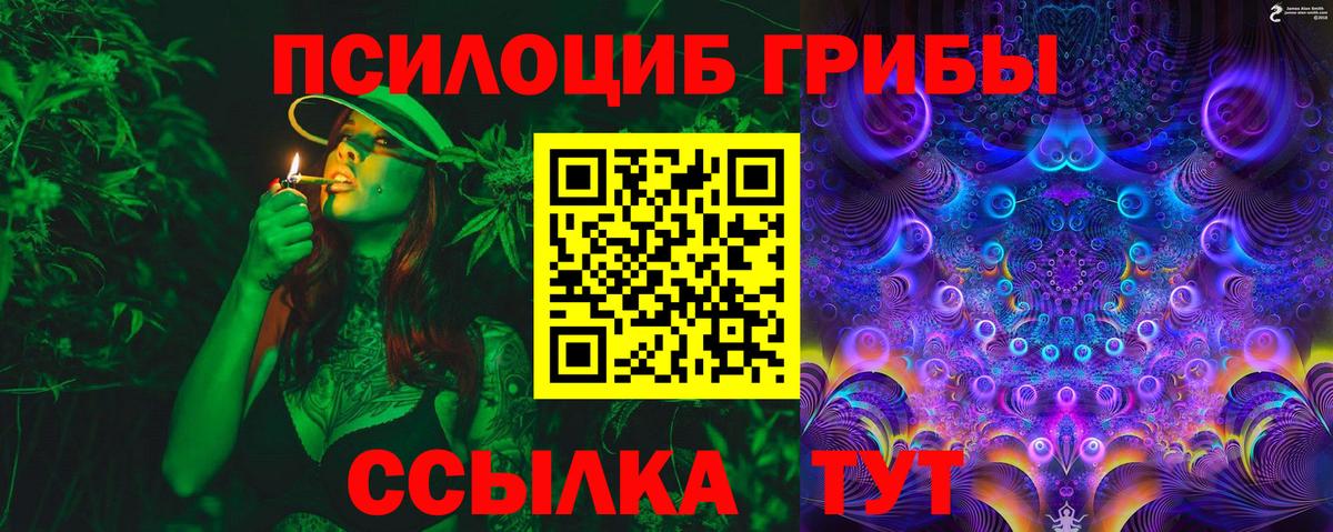 Нарткала  Псилоцибиновые грибы ЛСД  Вход с VPN  Псилоцибиновые грибы Cubensis 