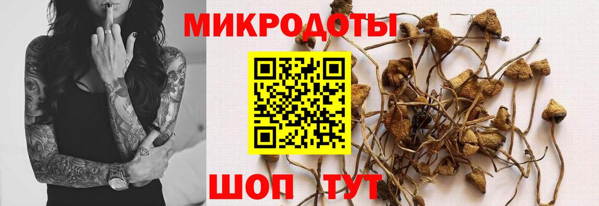 Галлюциногенные грибы Cubensis Нарткала
